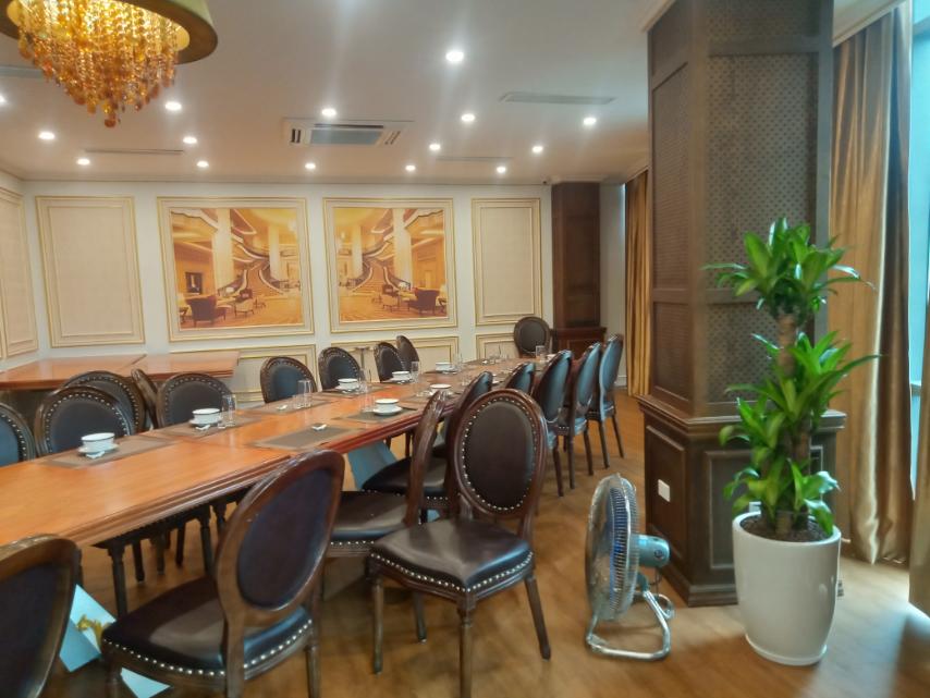 Cây phát tài khúc -chậu nhựa