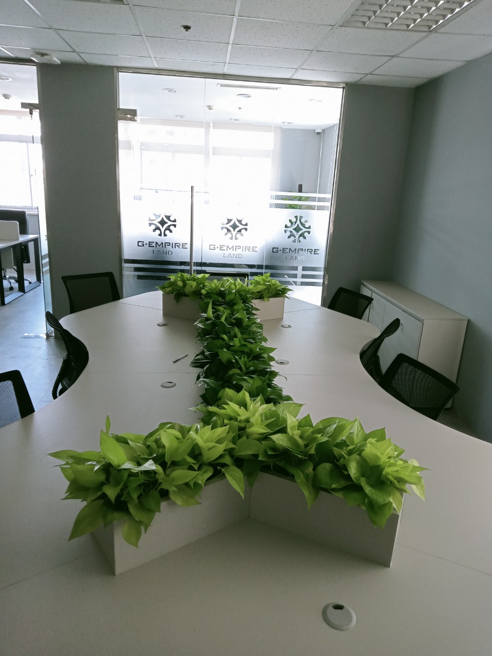 DỊCH VỤ THUÊ CÂY XANH