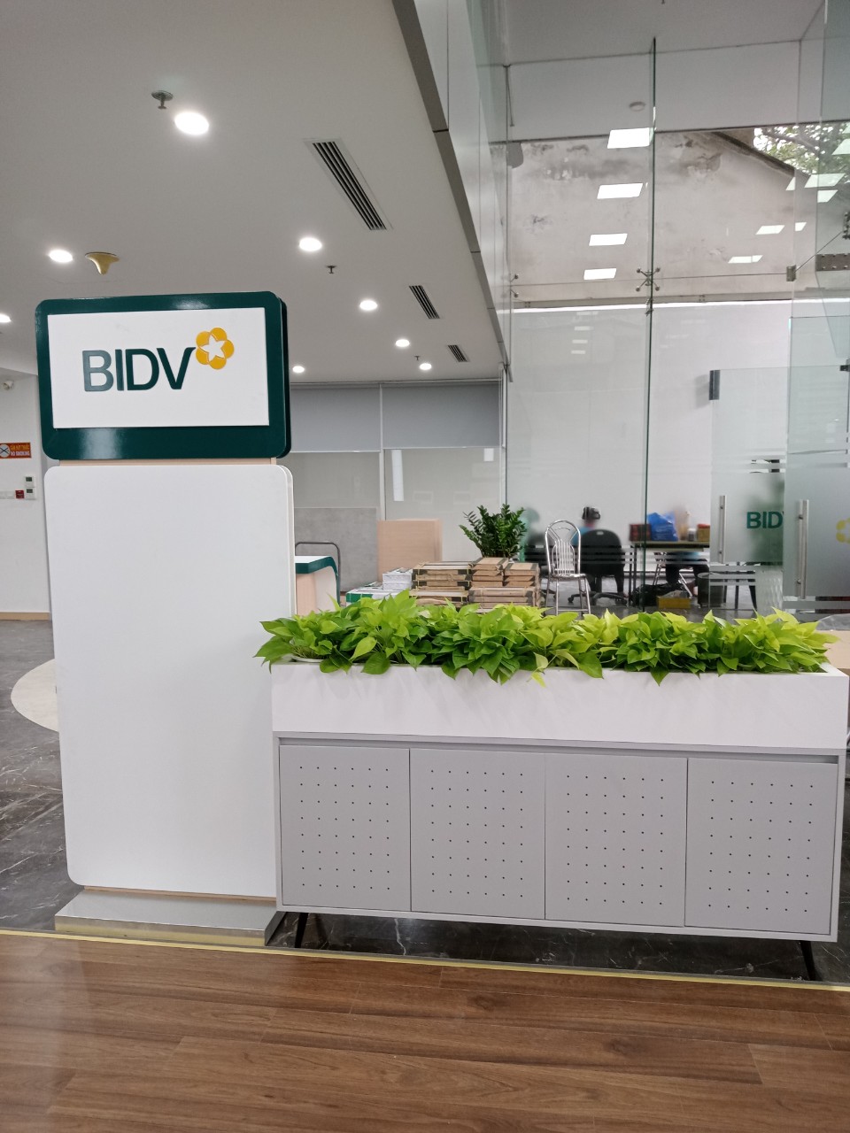 DỊCH VỤ THUÊ CÂY XANH