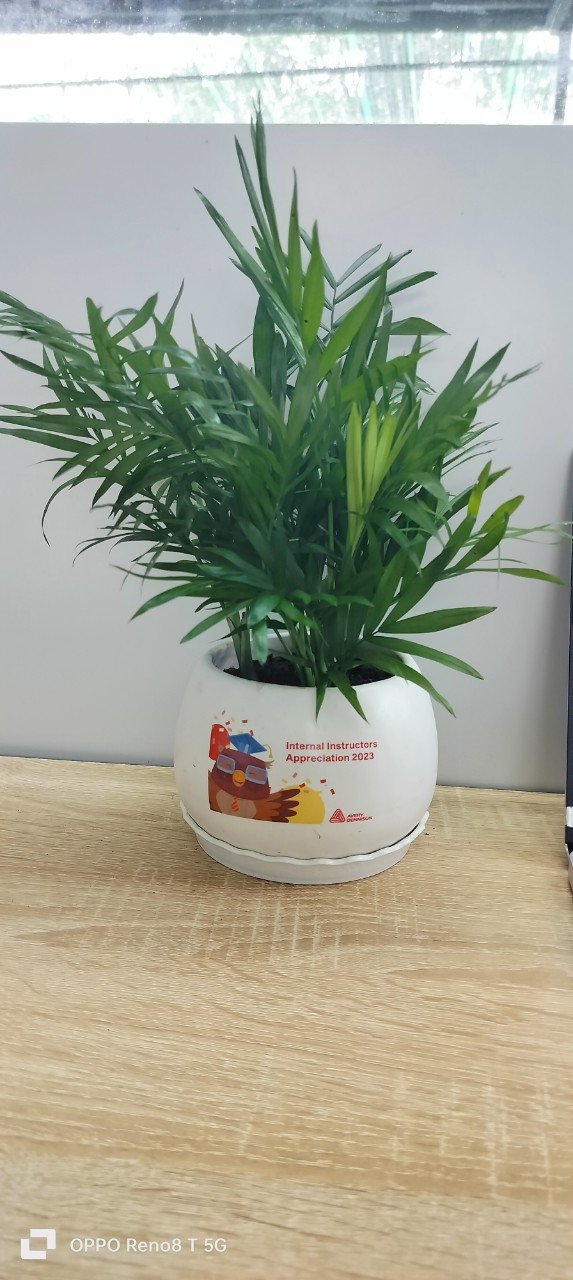 Chậu cây in logo -chậu men sứ