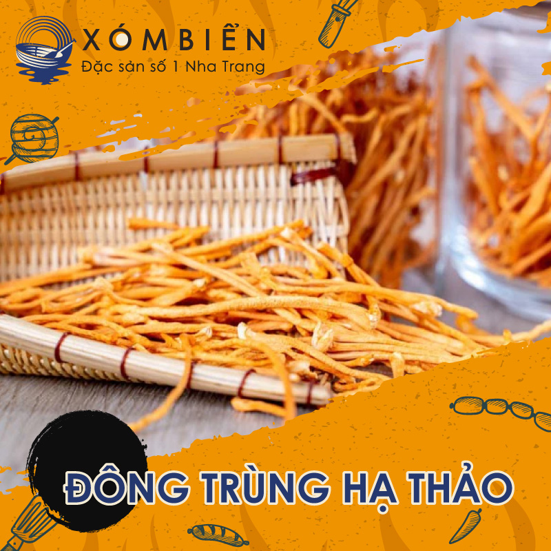 đông trùng hạ thảo