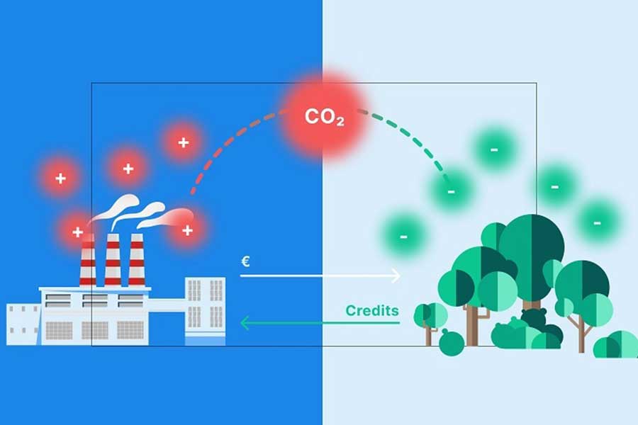Tín chỉ carbon là gì? Thị trường tín chỉ carbon ở Việt Nam