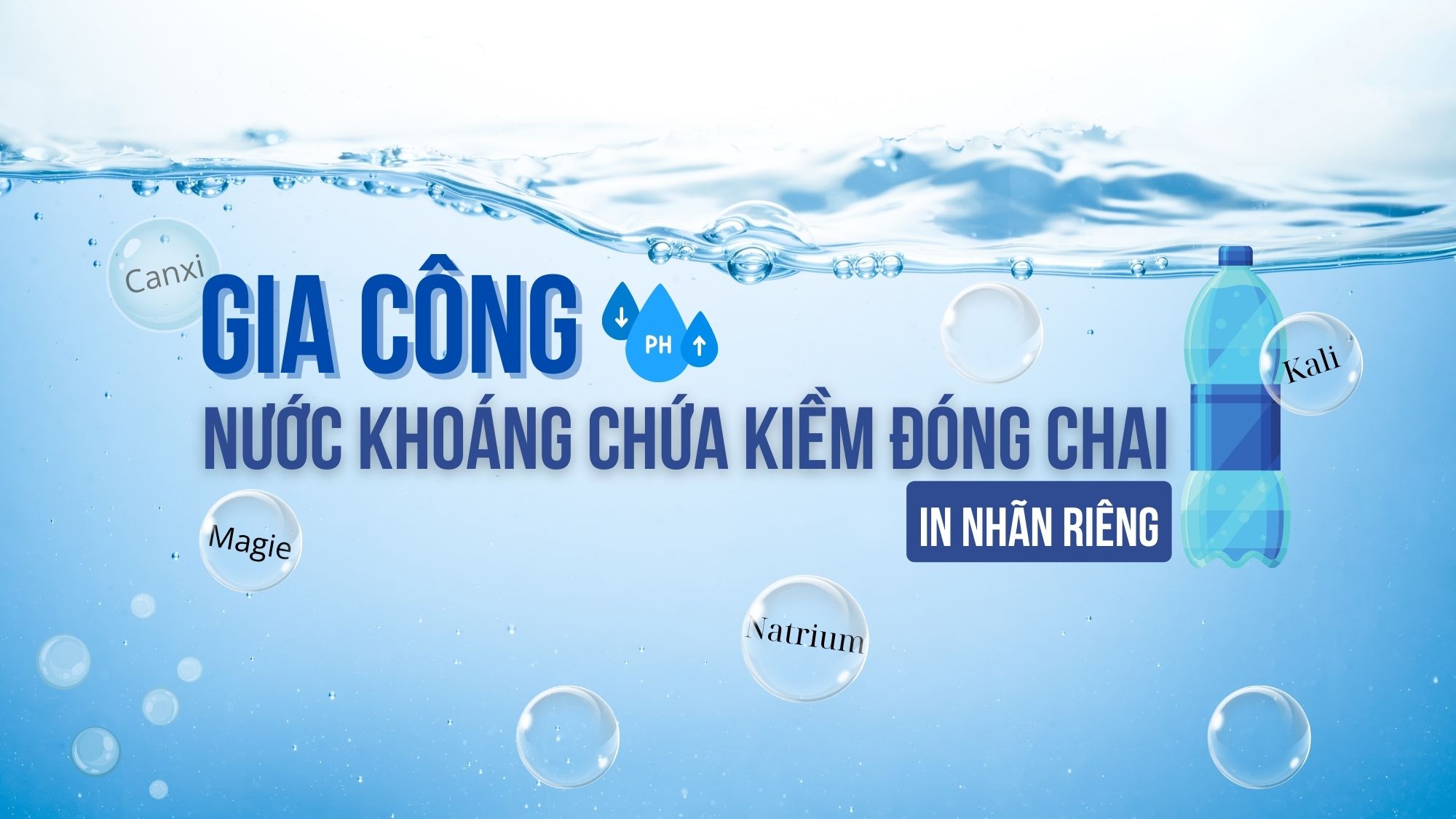 Gia công nước khoáng chứa kiềm đóng chai in nhãn riêng