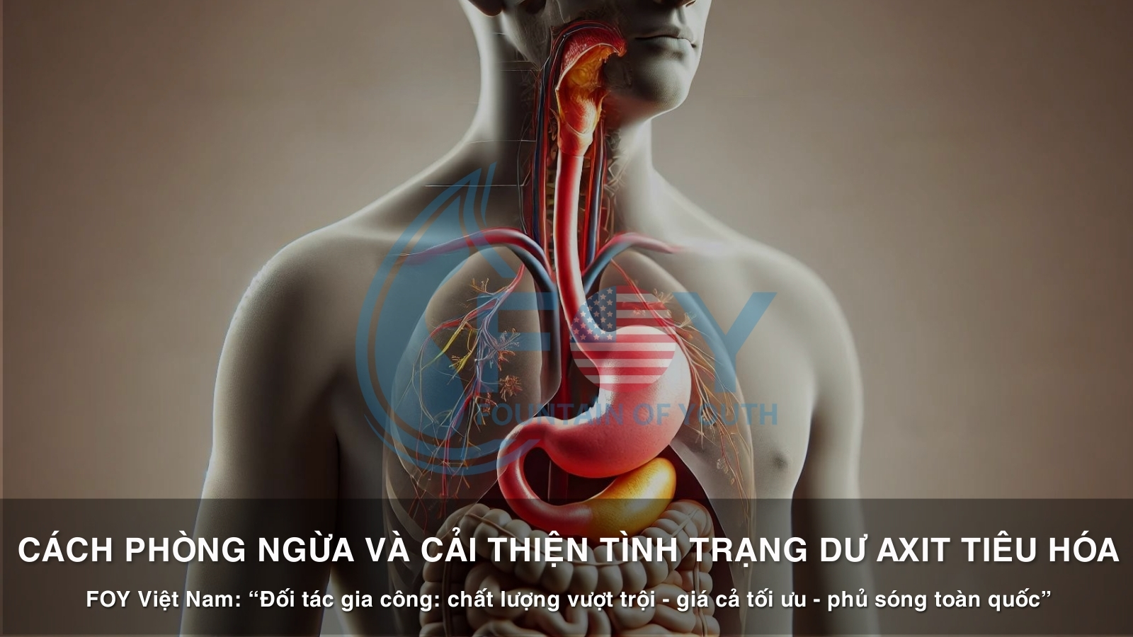 phòng ngừa và cải thiện tình trạng dư axit tiêu hóa