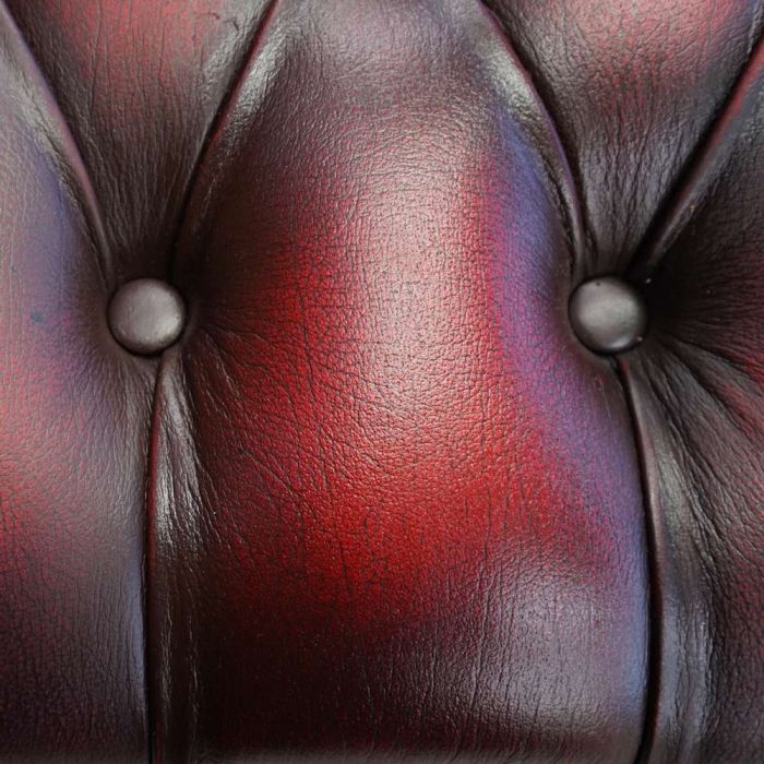 Bảo dưỡng và bảo vệ da dạng bóng - Leather Polish