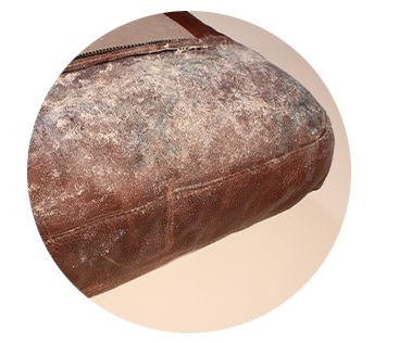 Vệ sinh nấm mốc và diệt vi khuẩn nấm mốc – Mould Remover