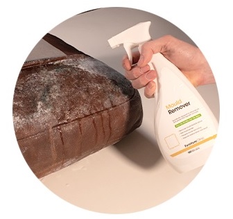 Vệ sinh nấm mốc và diệt vi khuẩn nấm mốc – Mould Remover