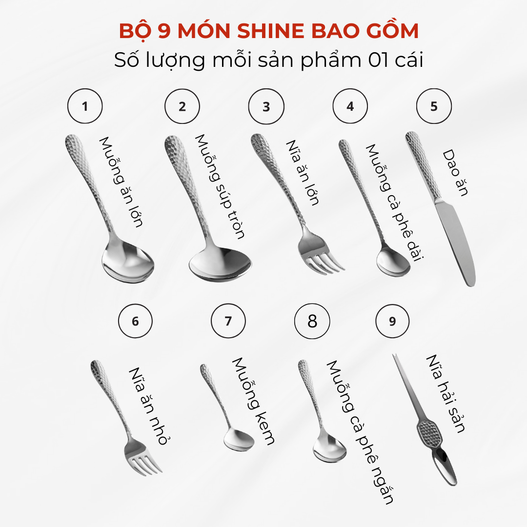 BỘ SHINE 9 MÓN (9 sản phẩm x 1 cái)