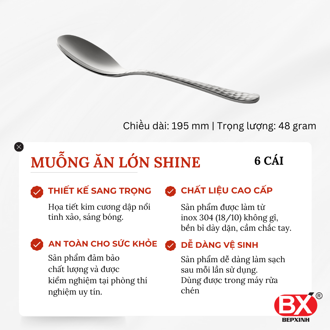 MUỖNG ĂN LỚN SHINE (Set 6 cái)