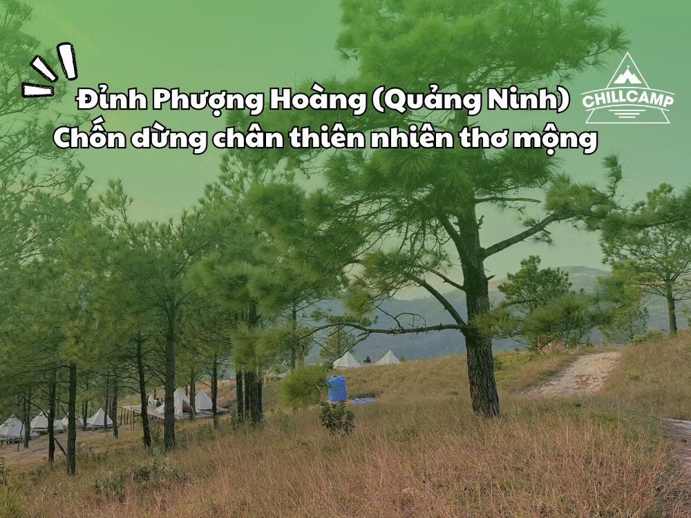 Kinh nghiệm & lưu ý khi cắm trại tại Đỉnh Phượng Hoàng (Quảng Ninh)