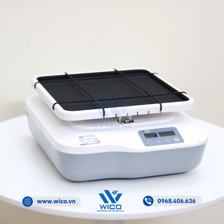 Máy Lắc Bập Bênh Dlab SK-R1807-S