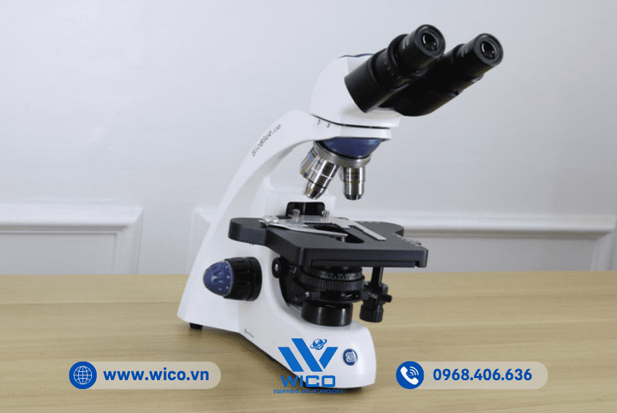 Kính hiển vi sinh học Euromex BB.1152-PLi | Nghiêng phải