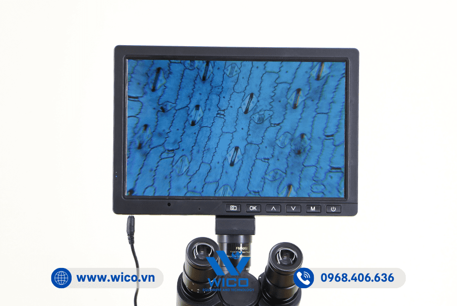 Hình ảnh thực tế Camera chuyên dụng cho Kính hiển vi CCD-1016M