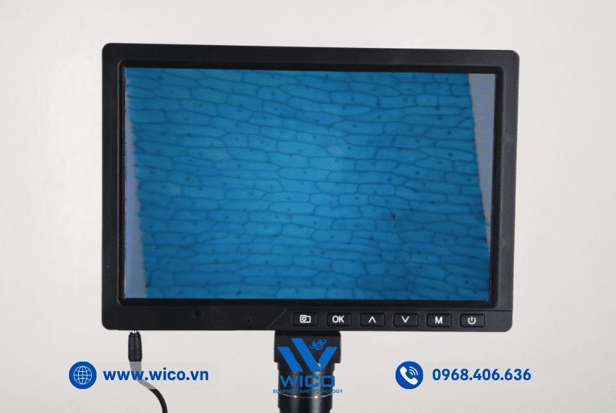 Màn hình kèm camera chuyên dụng kết nối kính hiển vi CCD-1016M