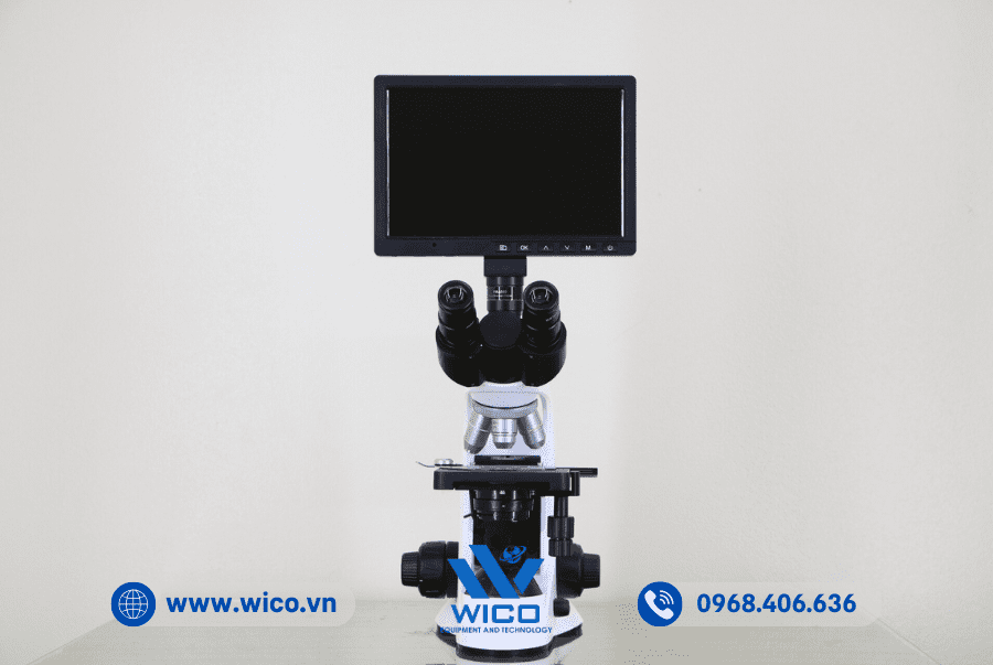 Kính hiển vi Labex ICC-1016MP