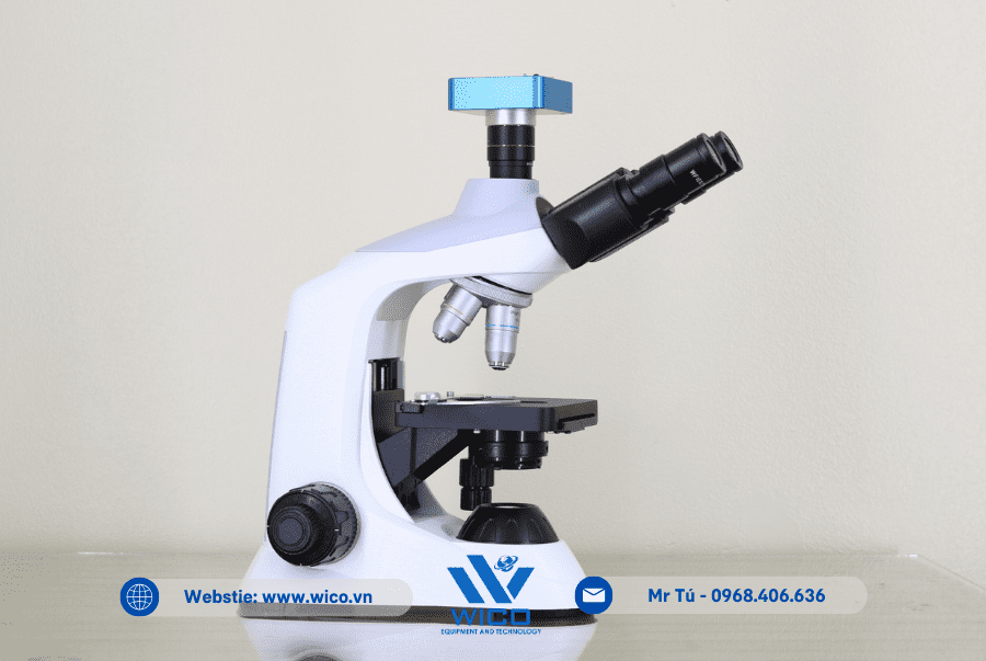 Kính hiển vi 3 mắt Labex ICC-1038P | Nghiêng phải