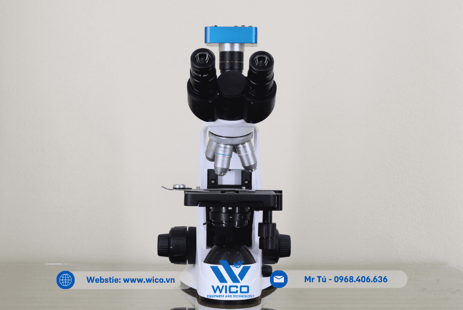 Kính hiển vi 3 mắt Labex ICC-1038P