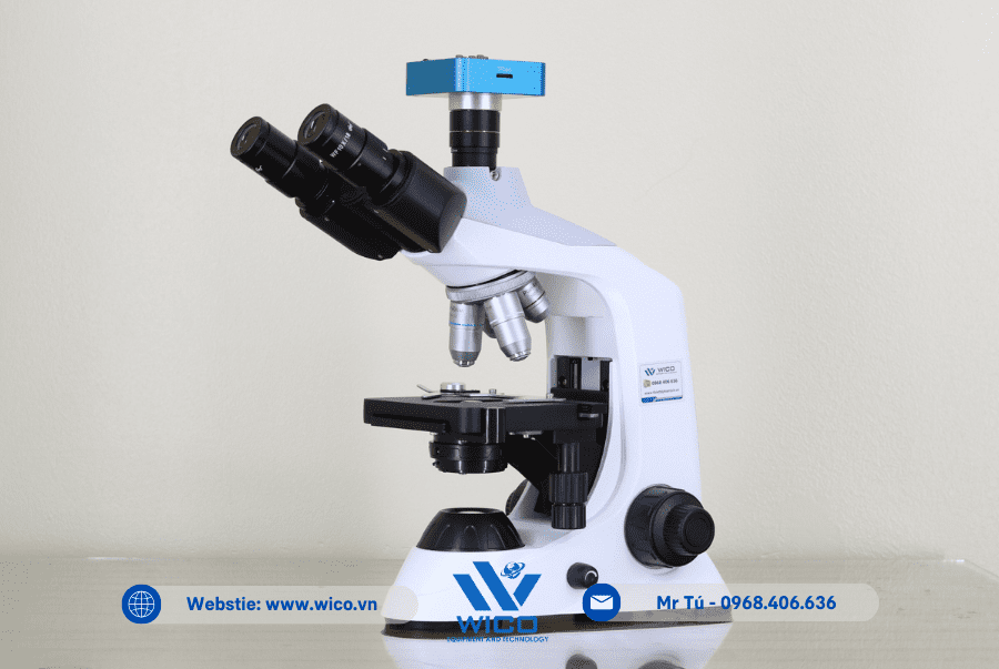 Kính hiển vi 3 mắt Labex ICC-1038P | Nghiêng trái