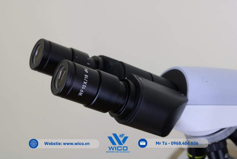 Thị kính của Kính hiển vi 2 mắt ICO-L1000PL 