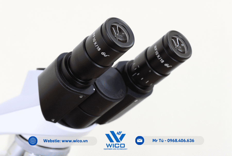 Thị kính Kính hiển vi 3 mắt Labex ICO-T1000PLi