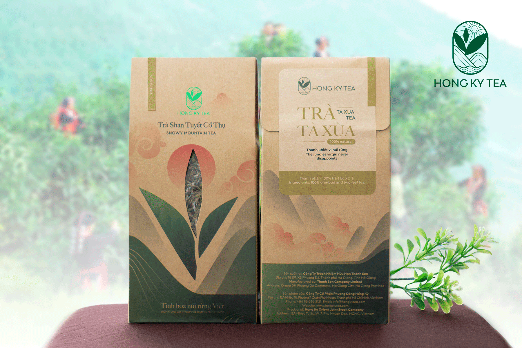 Trà Tà Xùa - Trà Shan Tuyết cổ thụ Sơn La - Hồng Kỳ Tea