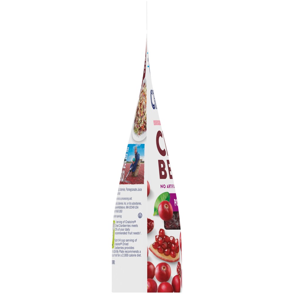 Nam Việt Quất Sấy Nước Ép Lựu Đỏ Ocean Spray Craisins Dried Cranberries Infused With Pomegrate Juice, Gói 170g (6 Oz.)