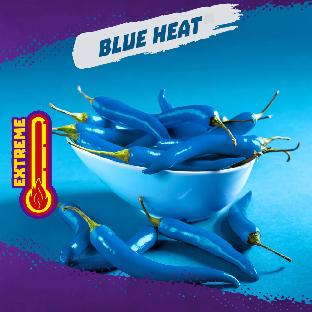 Snack Tortilla Cuộn Cay Chua Takis Blue Heat Rolled Corn Tortilla Chips, Gói 100g