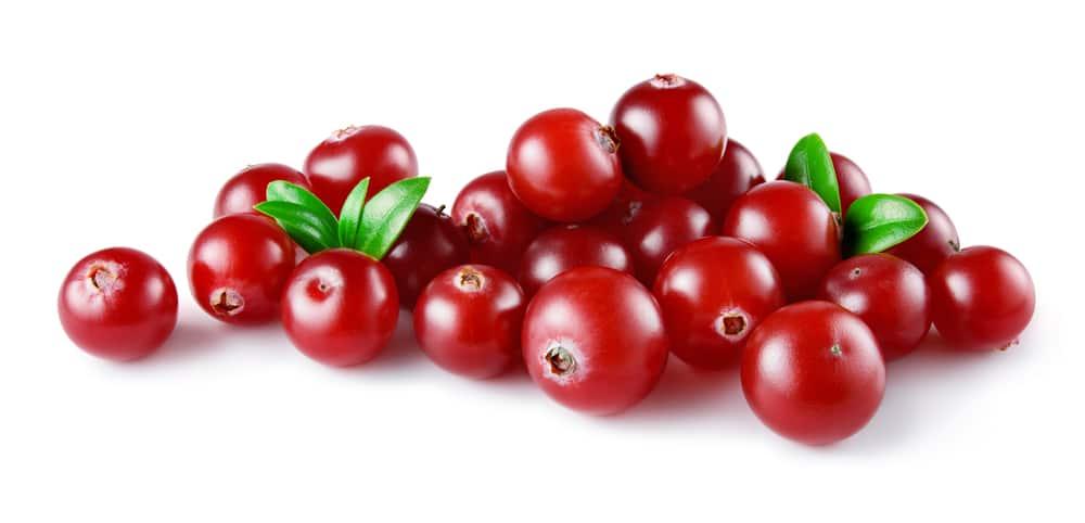 Quả Nam Việt Quất Nguyên Trái Atlas Garden Whole Cranberry, Gói 265g