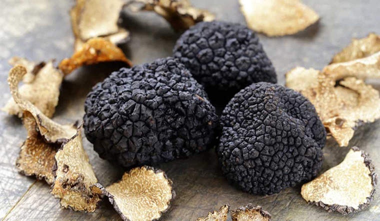 Sốt Kem Nấm Truffle Đen GeoFood Black Cream, Hộp 500g