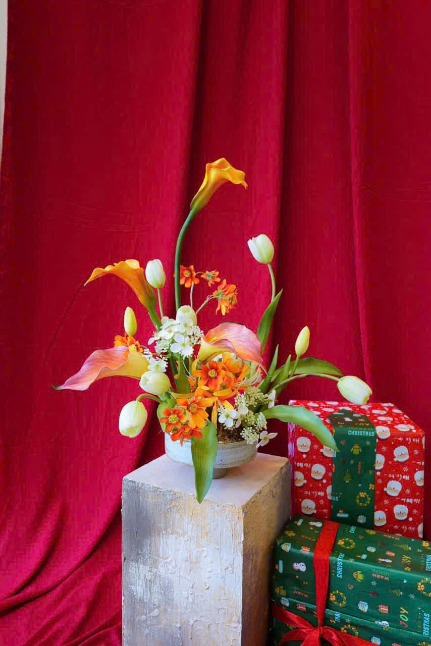 3 MÓN QUÀ TẾT KHÔNG THỂ THIẾU CHO MỘT NĂM MỚI AN KHANG THỊNH VƯỢNG