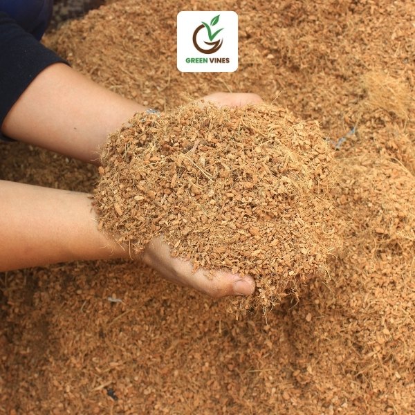 Giá thể xơ dừa trồng cây – Giải pháp trồng cây sạch, tơi xốp và bền vững