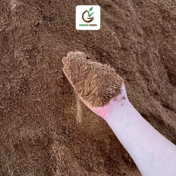 Xơ dừa trồng cây – Giải pháp giá thể sạch, tiện lợi và hiệu quả cho người làm vườn
