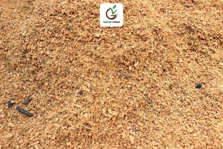 Giá thể trồng cây xơ dừa sấy khô của Green Vines