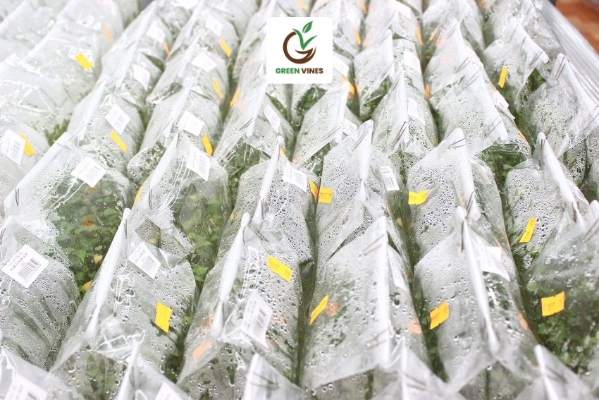 Giống khoai lang nhật 