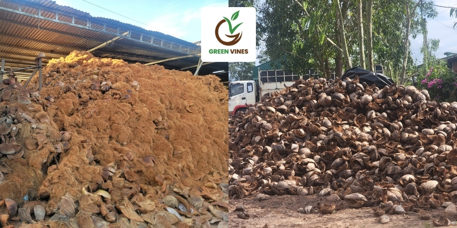 Nguồn nguyên liệu sản xuất viên nén xơ dừa bị bỏ hoang