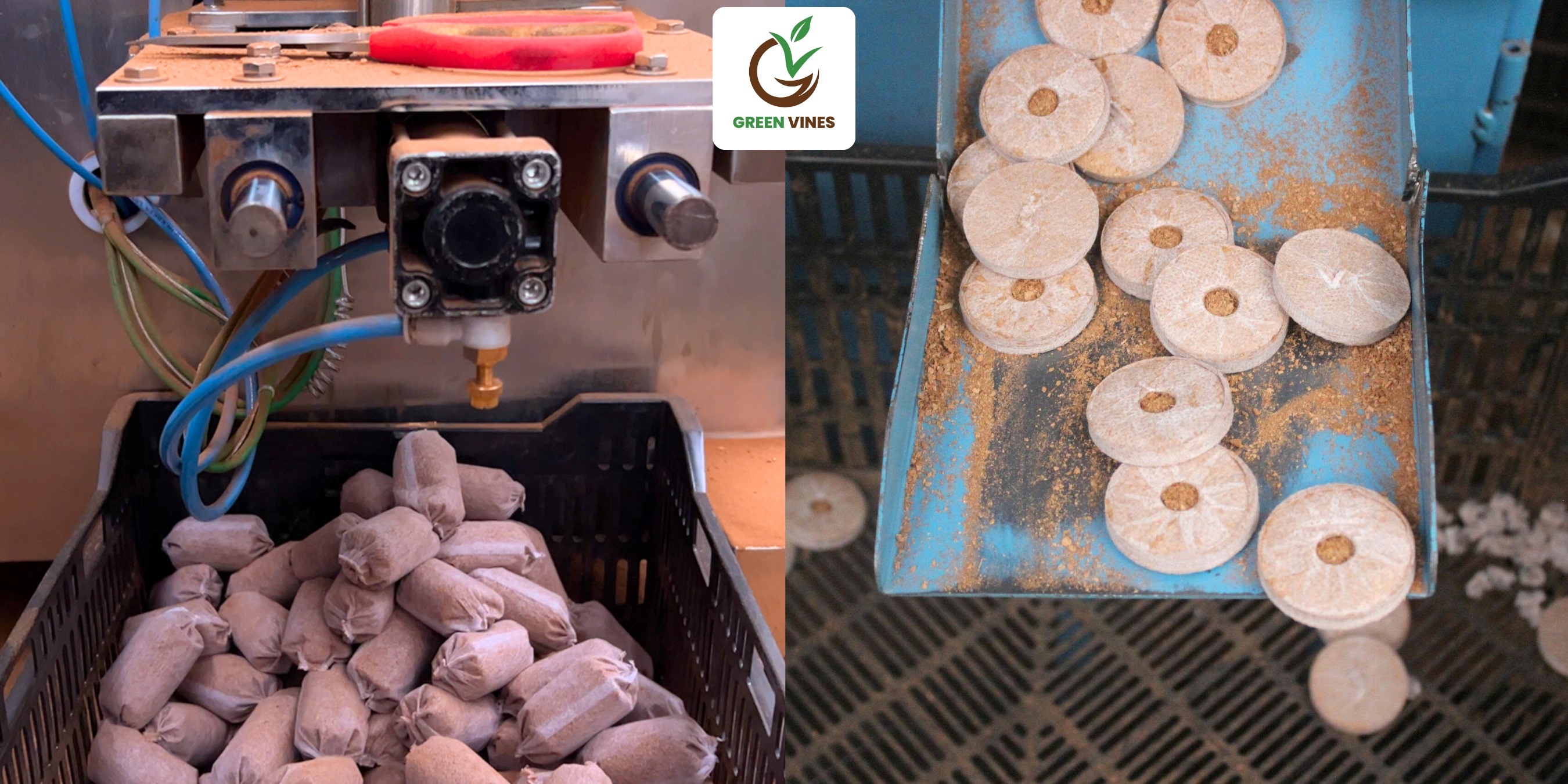 Quy trình sản xuất viên nén xơ dừa ươm ngó dâu tây