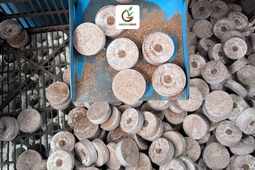 Sản xuất viên nén ươm hạt