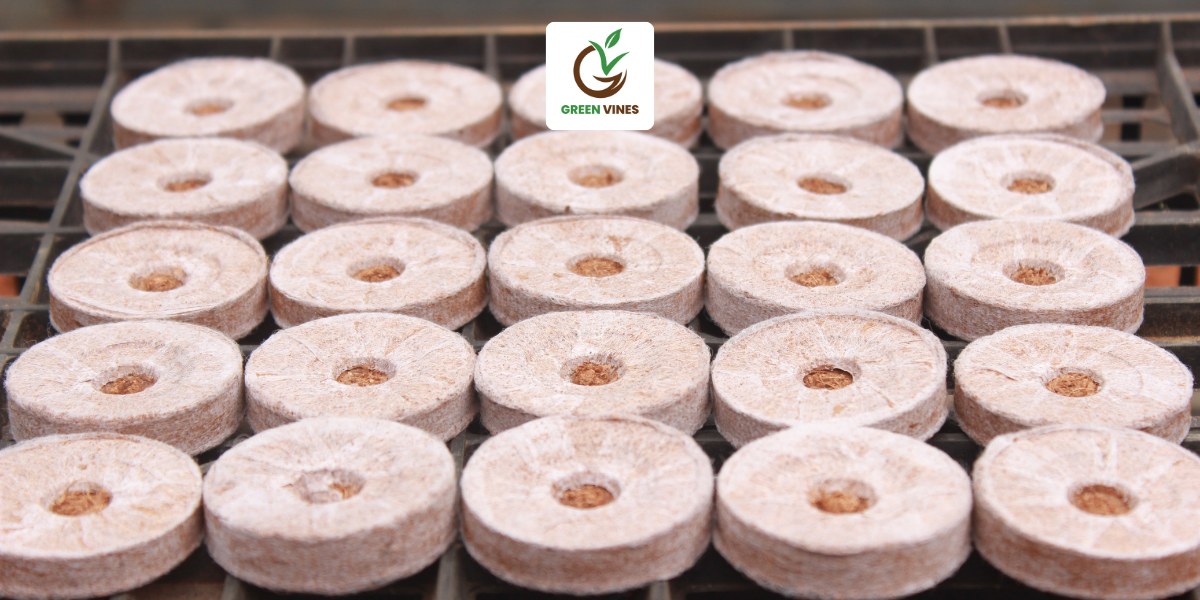 1 viên nén xơ dừa có kích thước 42mm