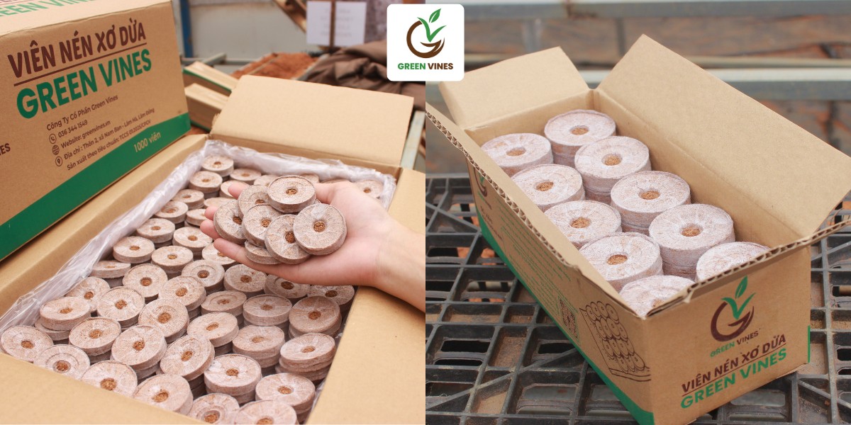 Thùng viên nén xơ dừa 1000 viên