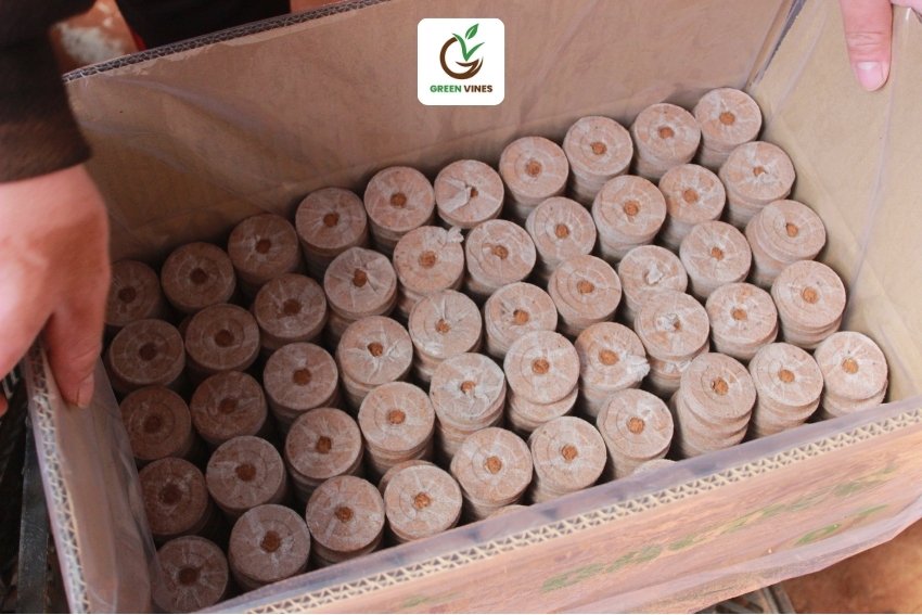 Viên nén xơ dừa ươm hạt 1000 viên