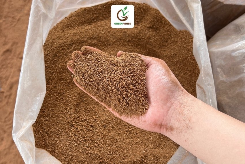 Viên nén ươm hạt dùng mụn dừa khô