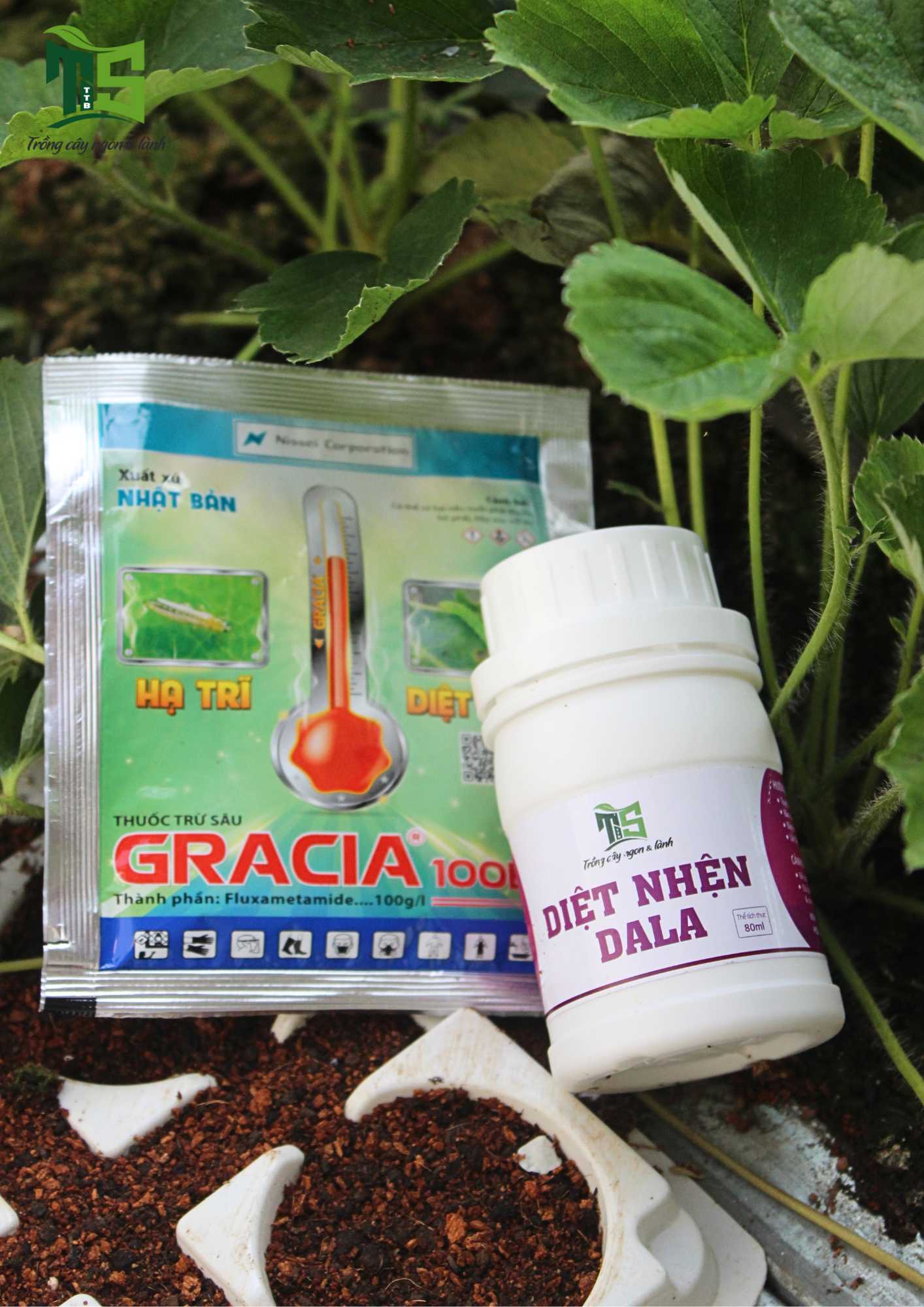 Diệt Nhện DALA/ Chai 80ML