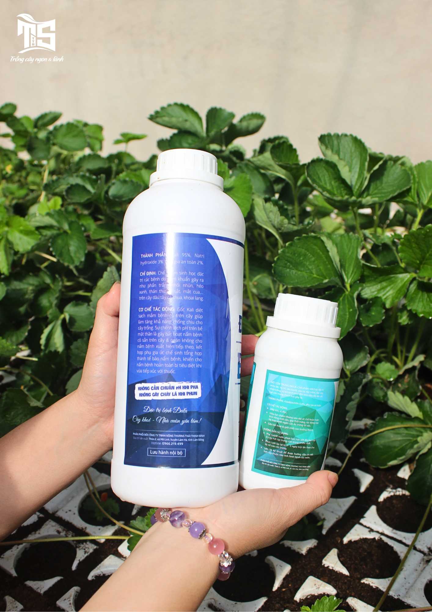 Diệt Côn Trùng DaLa (Chai 250ML)