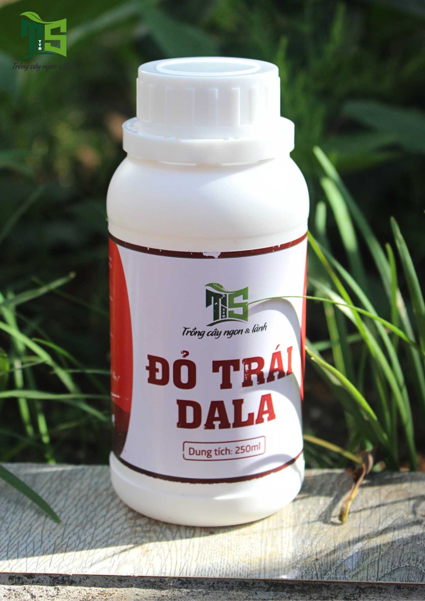 Đỏ Trái DALA/ Chai 250ML