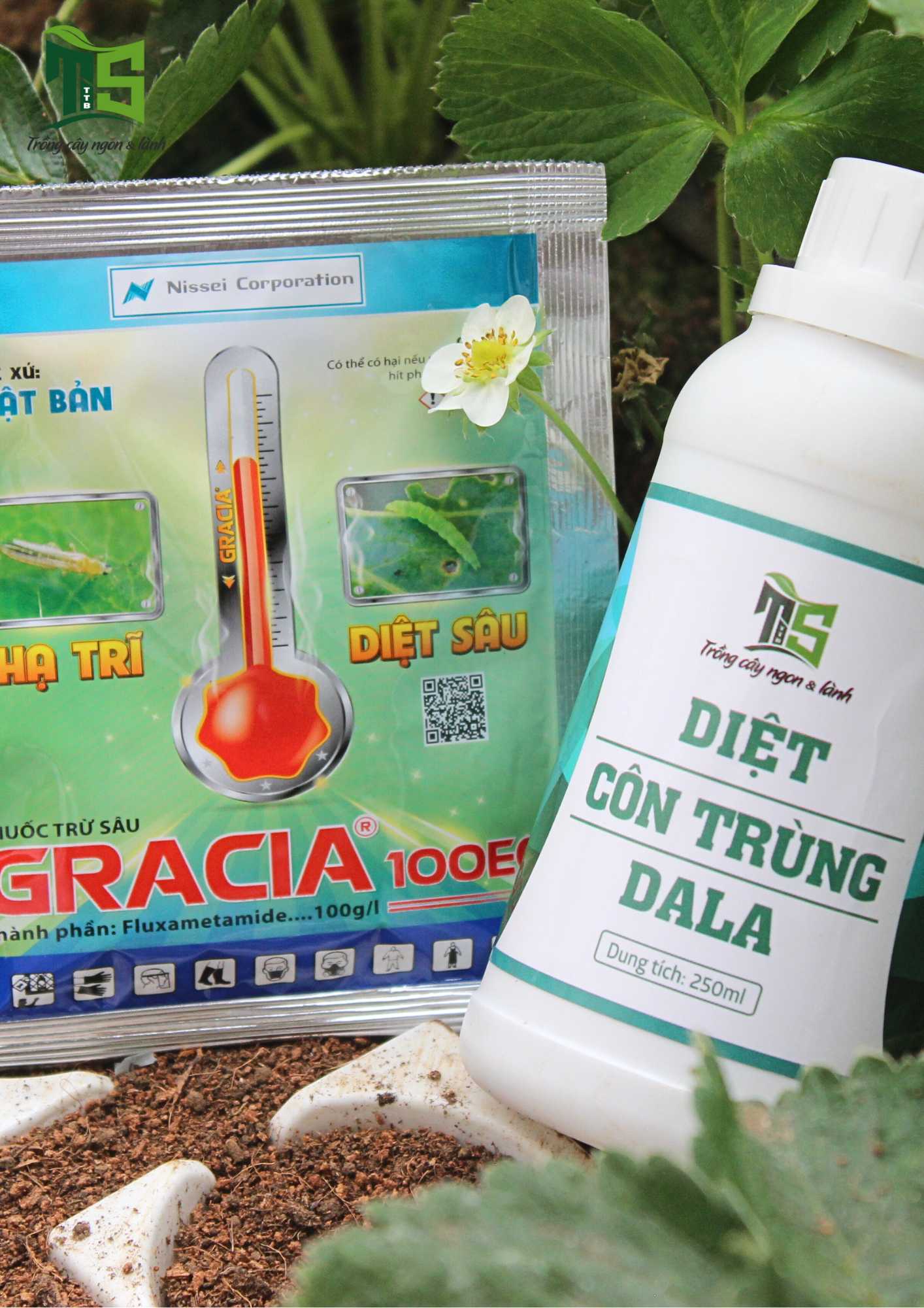 Combo Diệt Bọ Trĩ Kháng Thuốc (10 gói+ 1 chai 250ML)