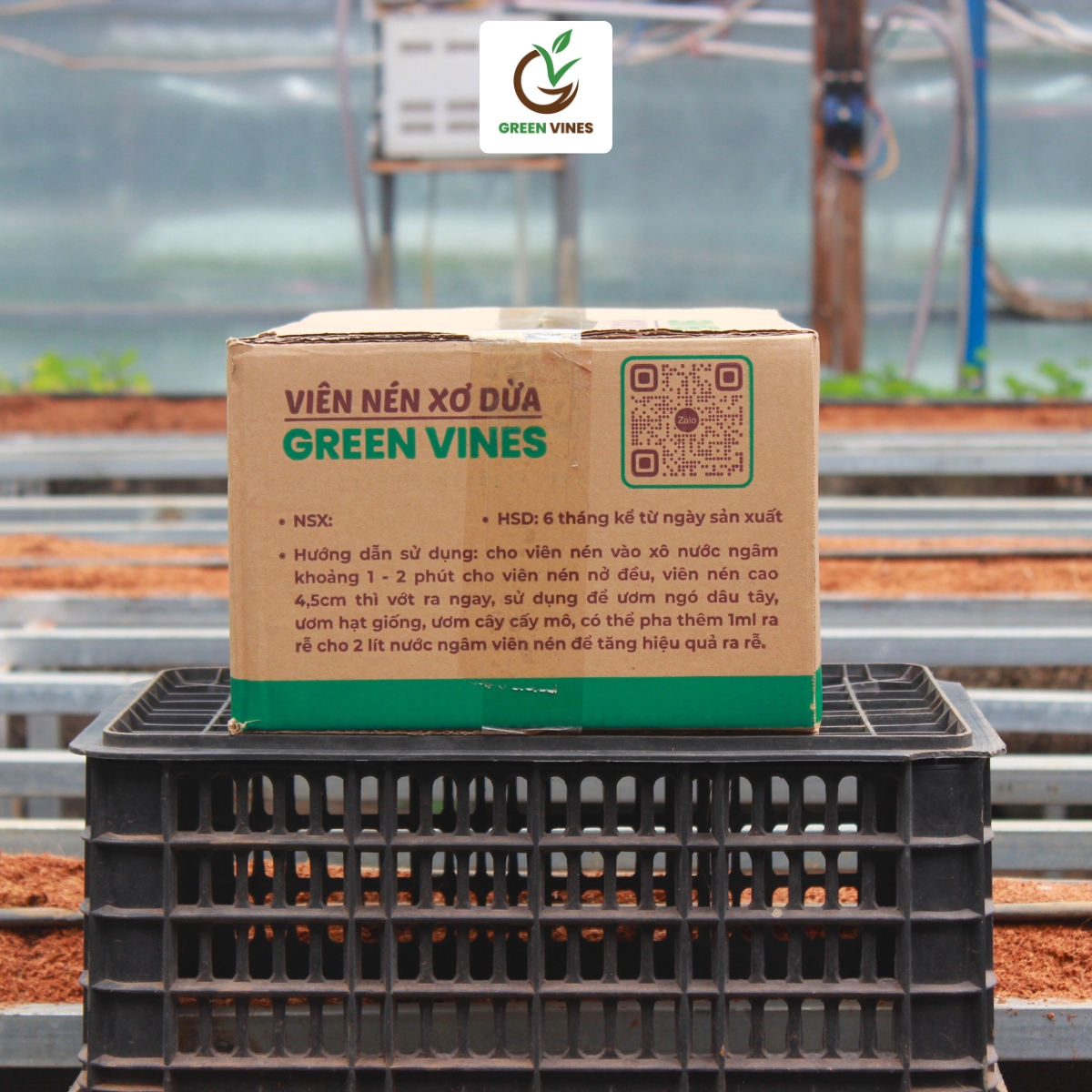 Viên nén xơ dừa ươm cây thùng 1000 viên