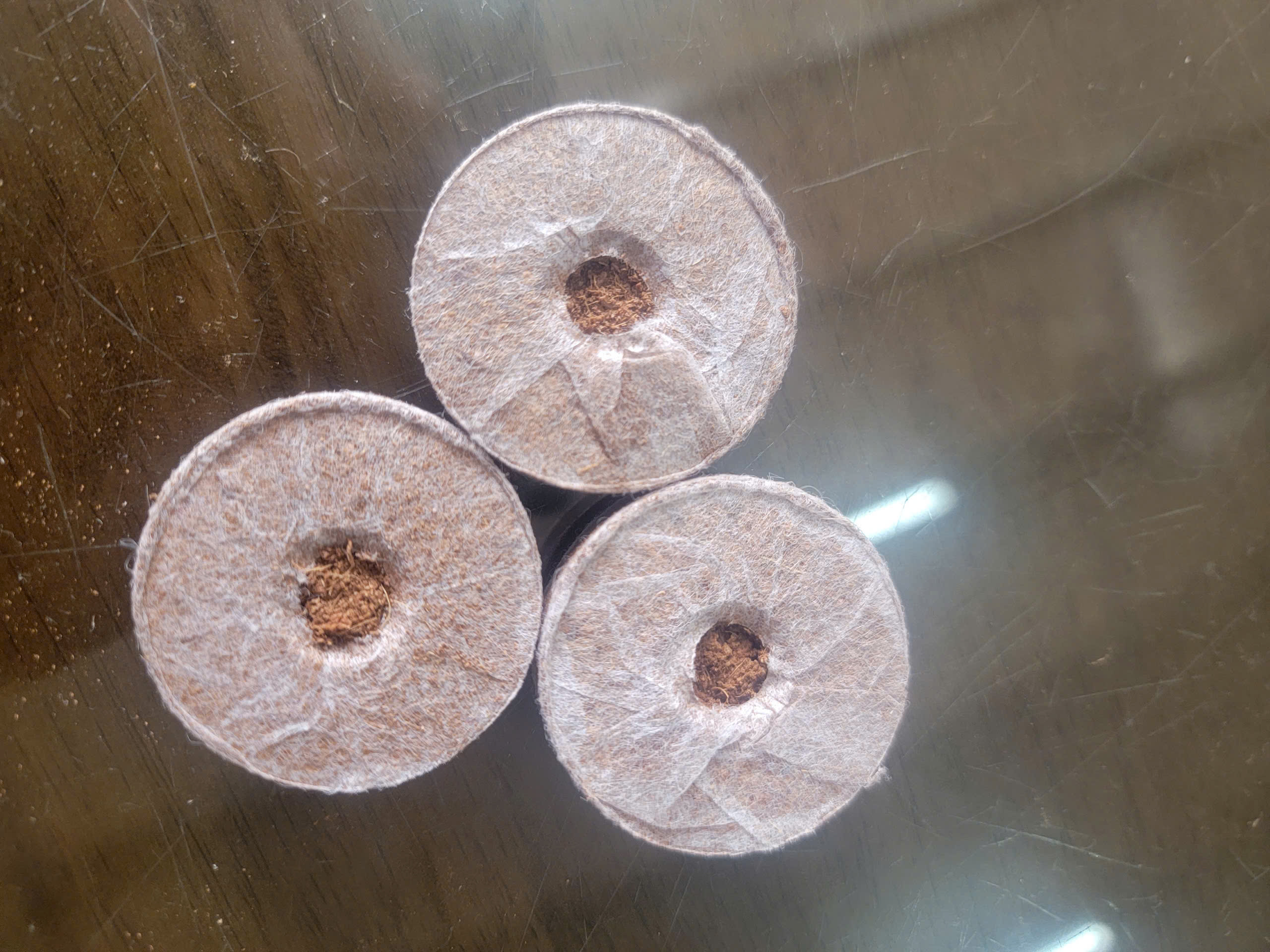 80 viên nén xơ dừa ươm ngó dâu tây, ươm hạt giống size 42mm