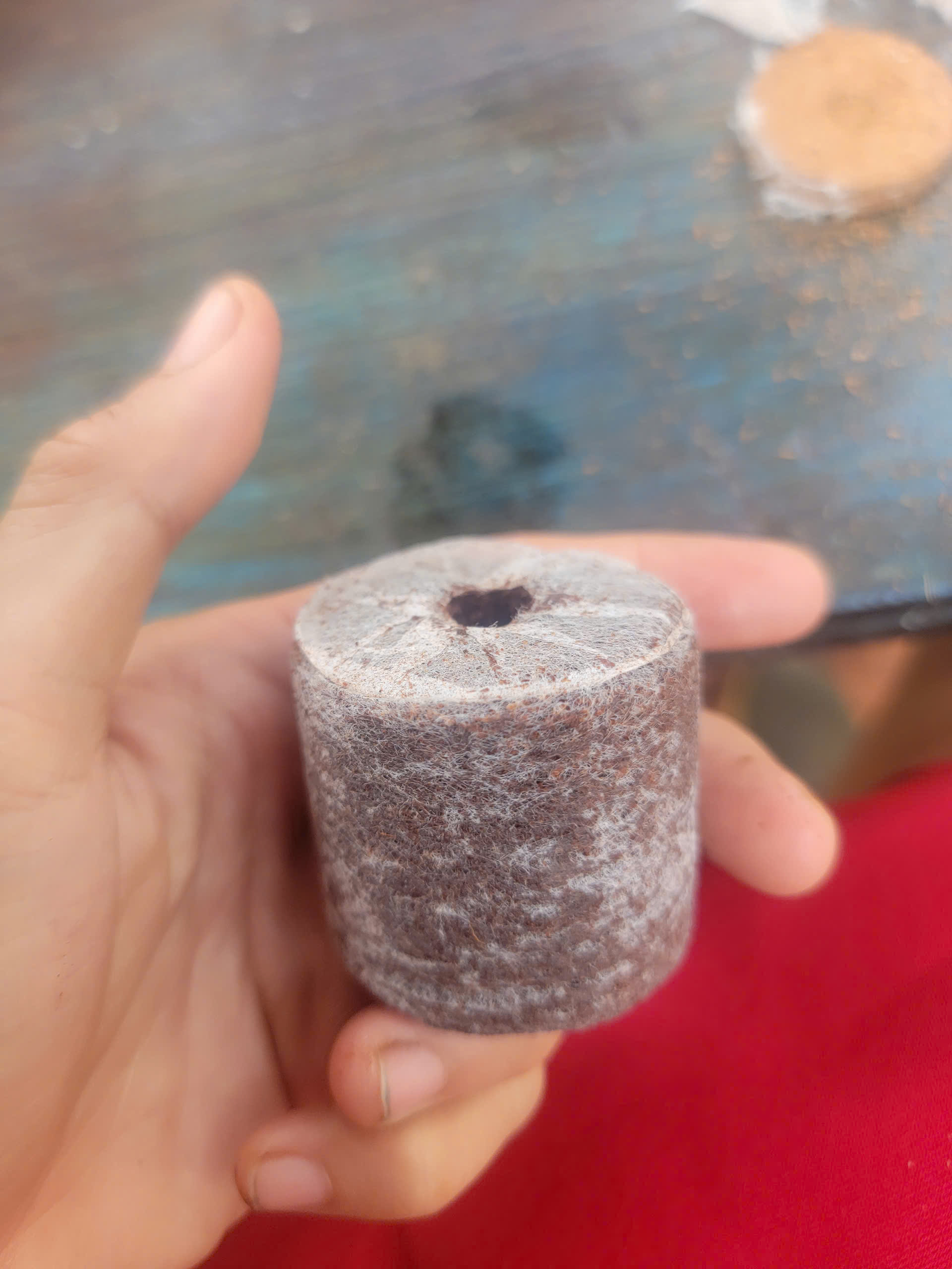 80 viên nén xơ dừa ươm ngó dâu tây, ươm hạt giống size 42mm