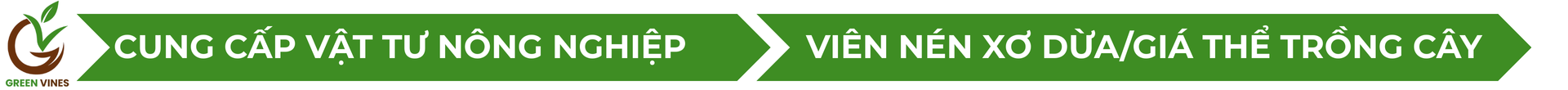 Công Ty Cổ Phần Green Vines