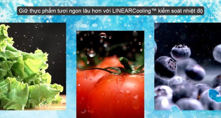 Công nghệ LINEARCooling trên tủ lạnh LG có tác dụng gì?